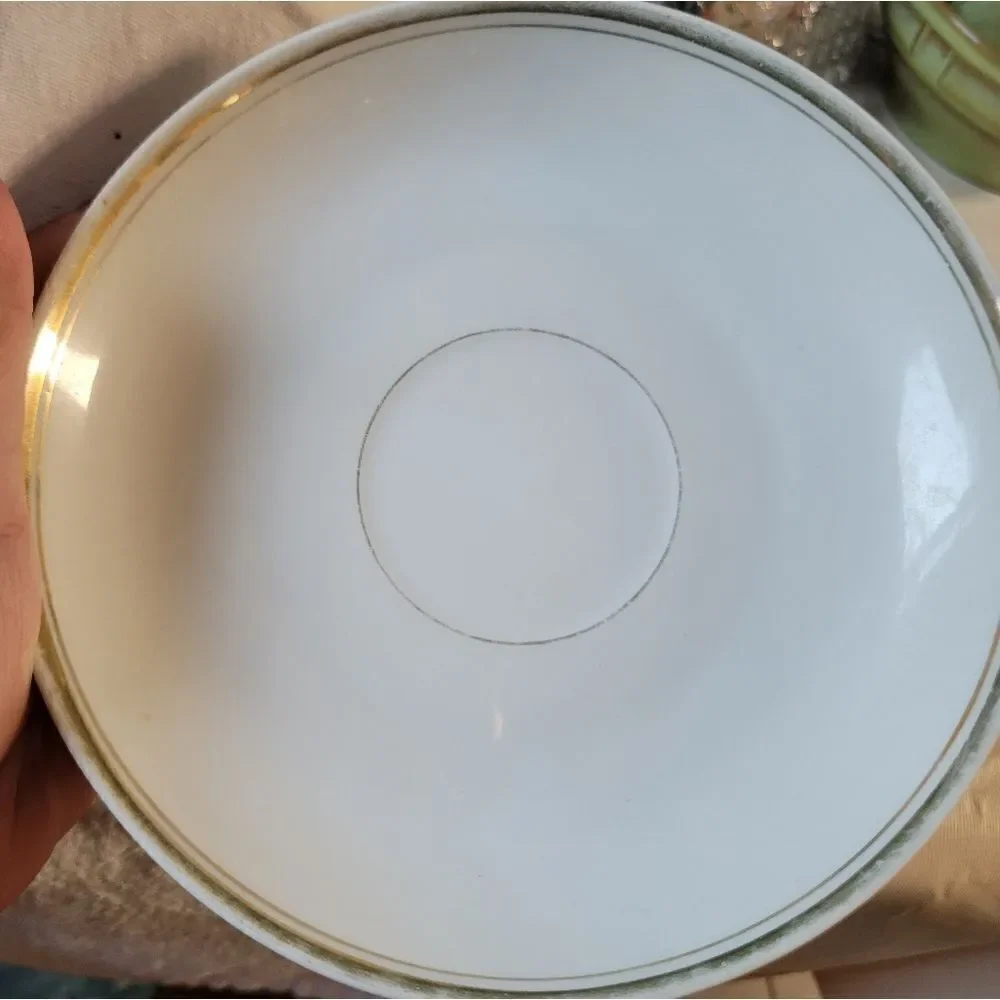 Vintage Thomas Bavaria teacup and saucer